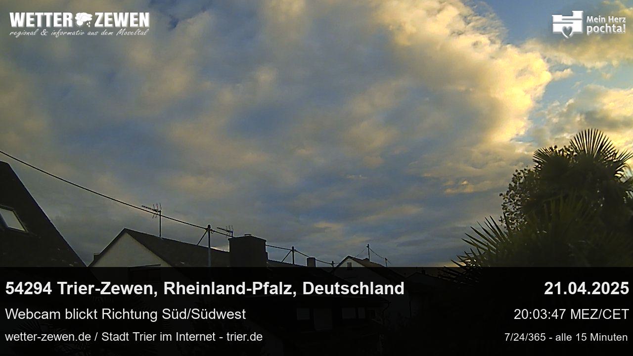 Bild