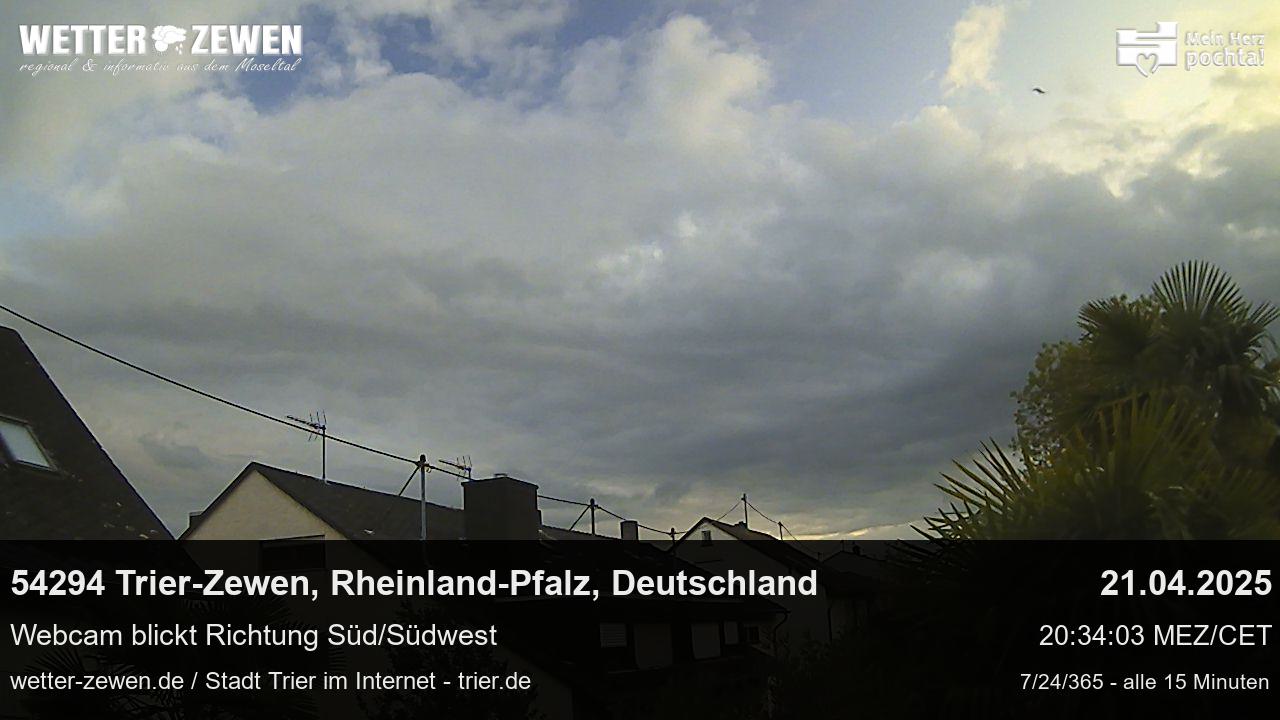Bild