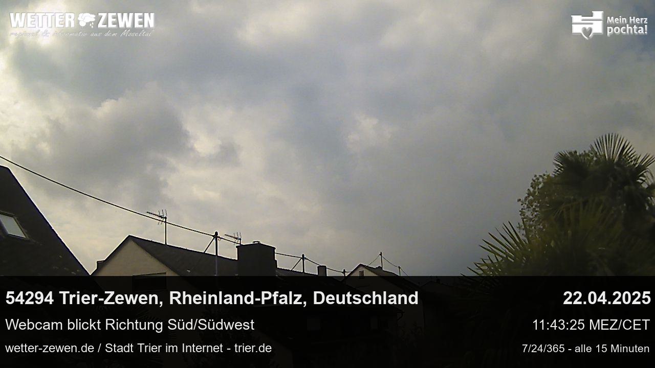 Bild