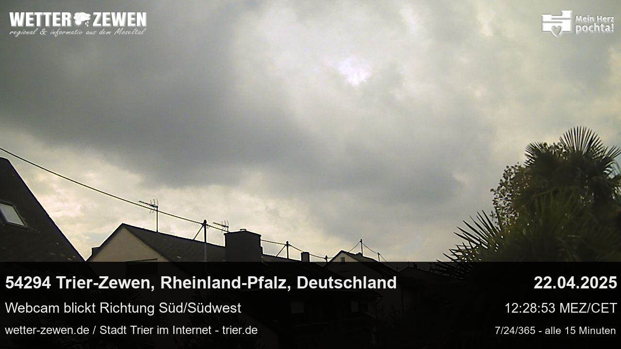 Bild