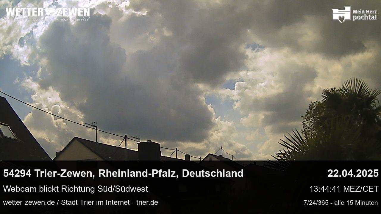 Bild