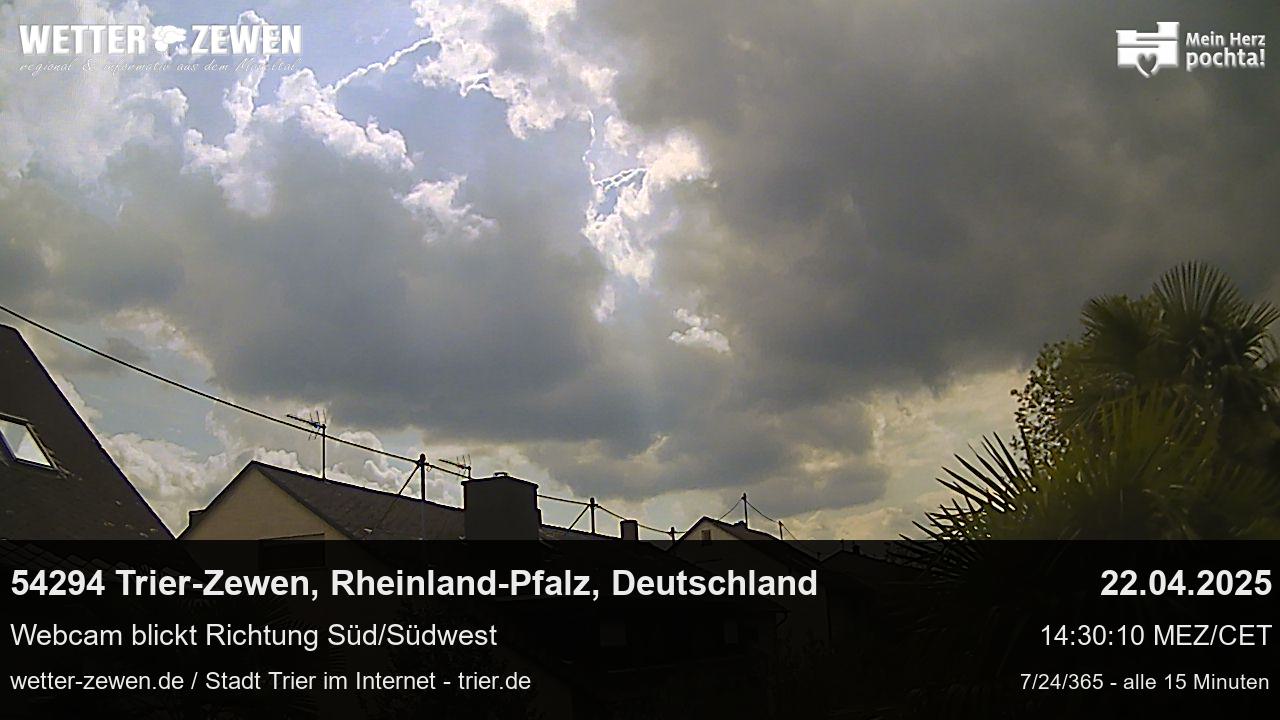 Bild
