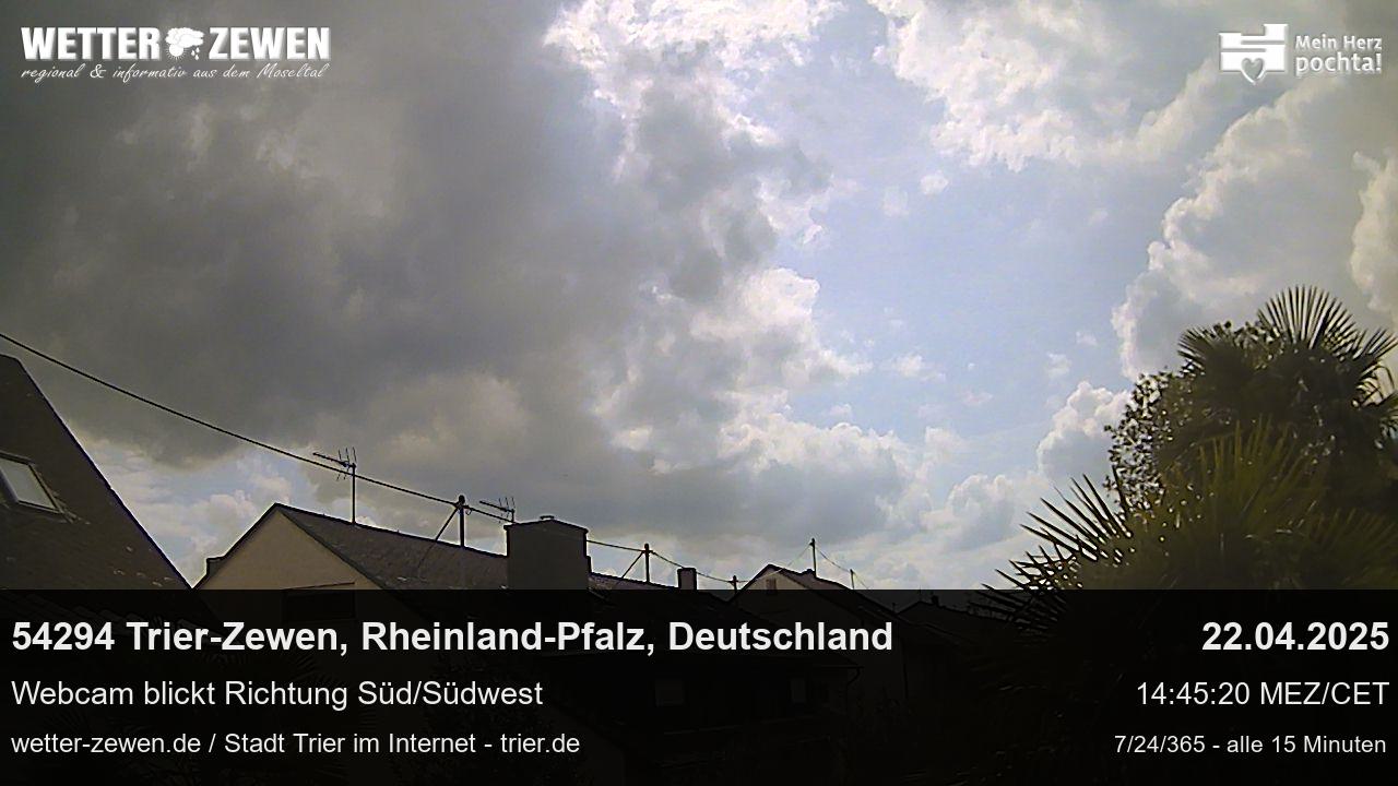 Bild