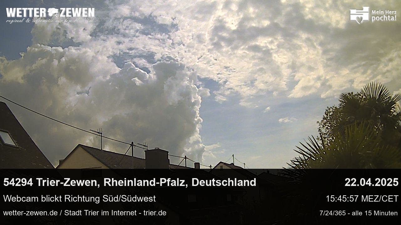 Bild