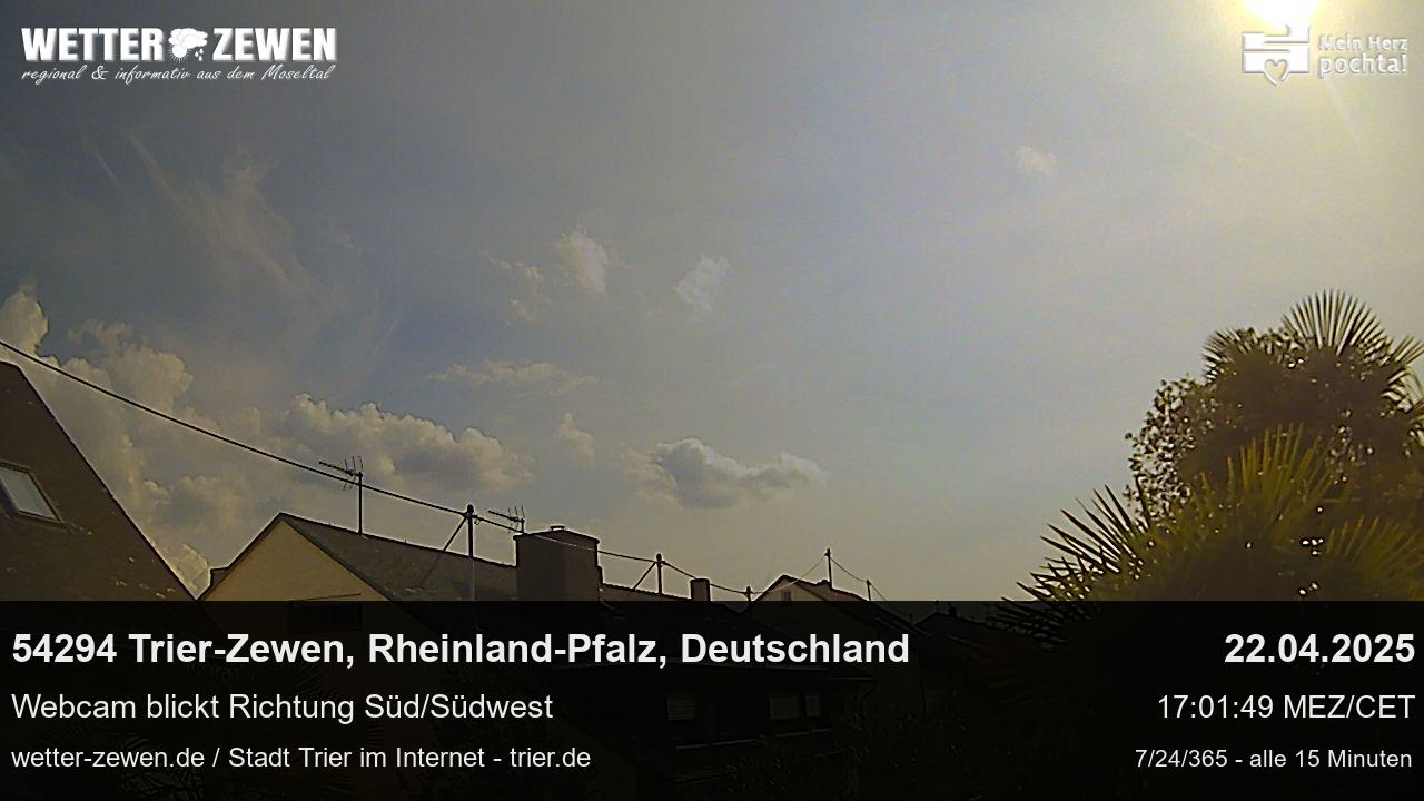 Bild
