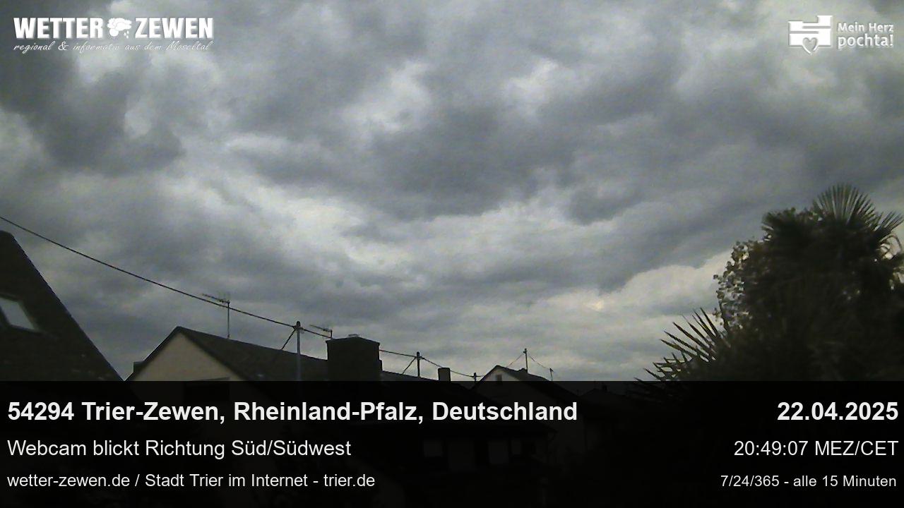 Bild