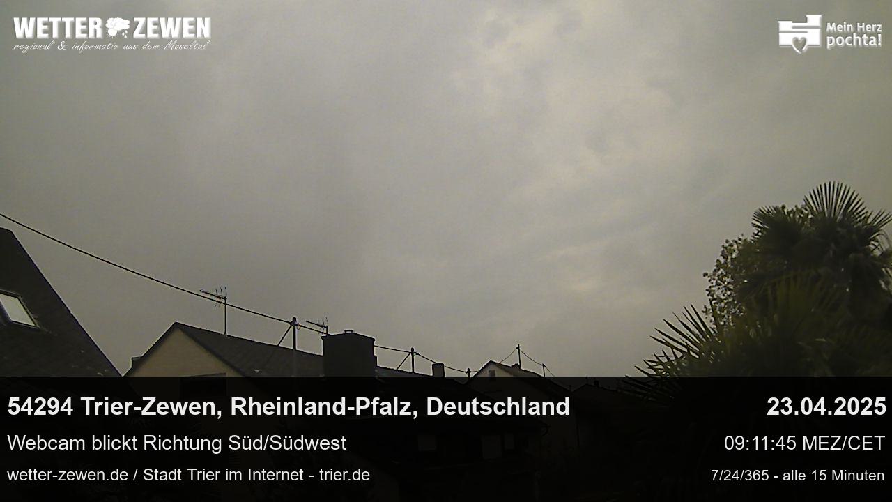 Bild