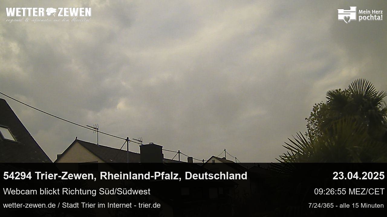 Bild