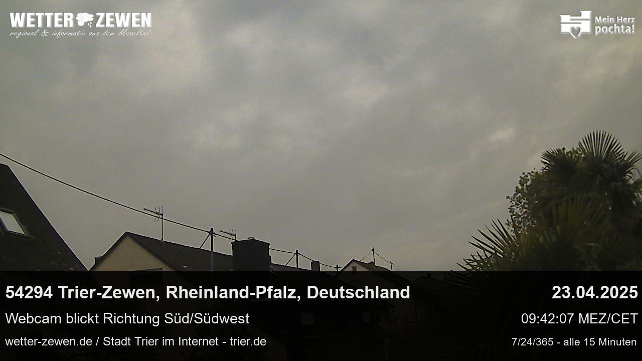 Bild