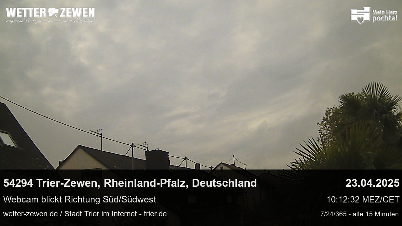 Bild