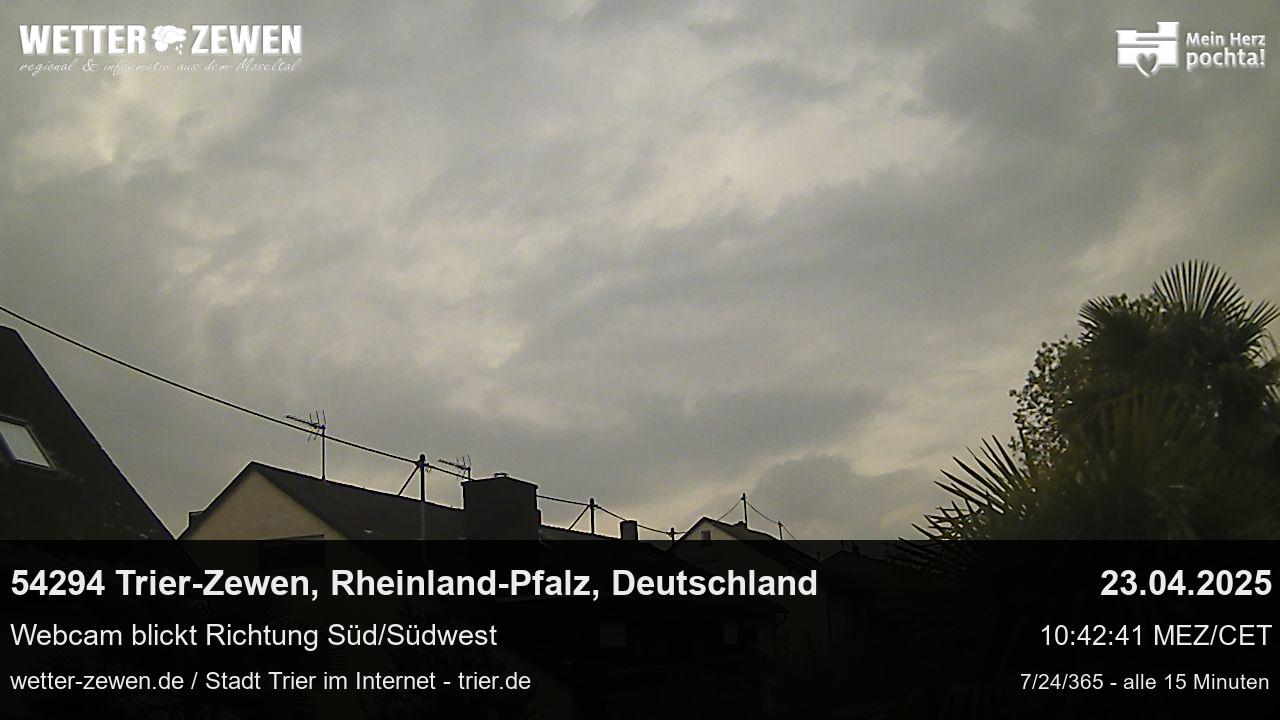 Bild