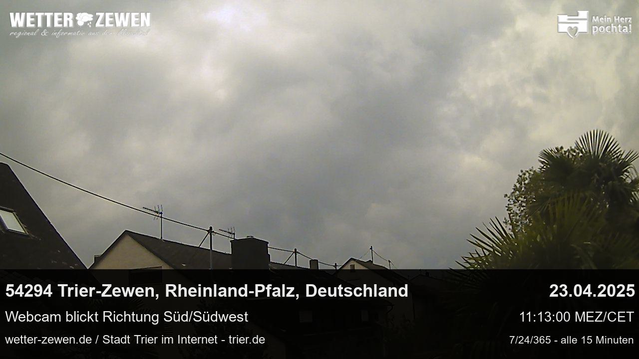 Bild