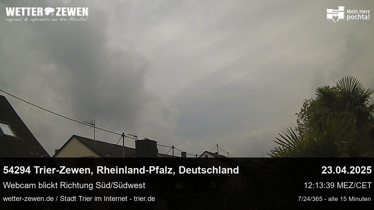Bild