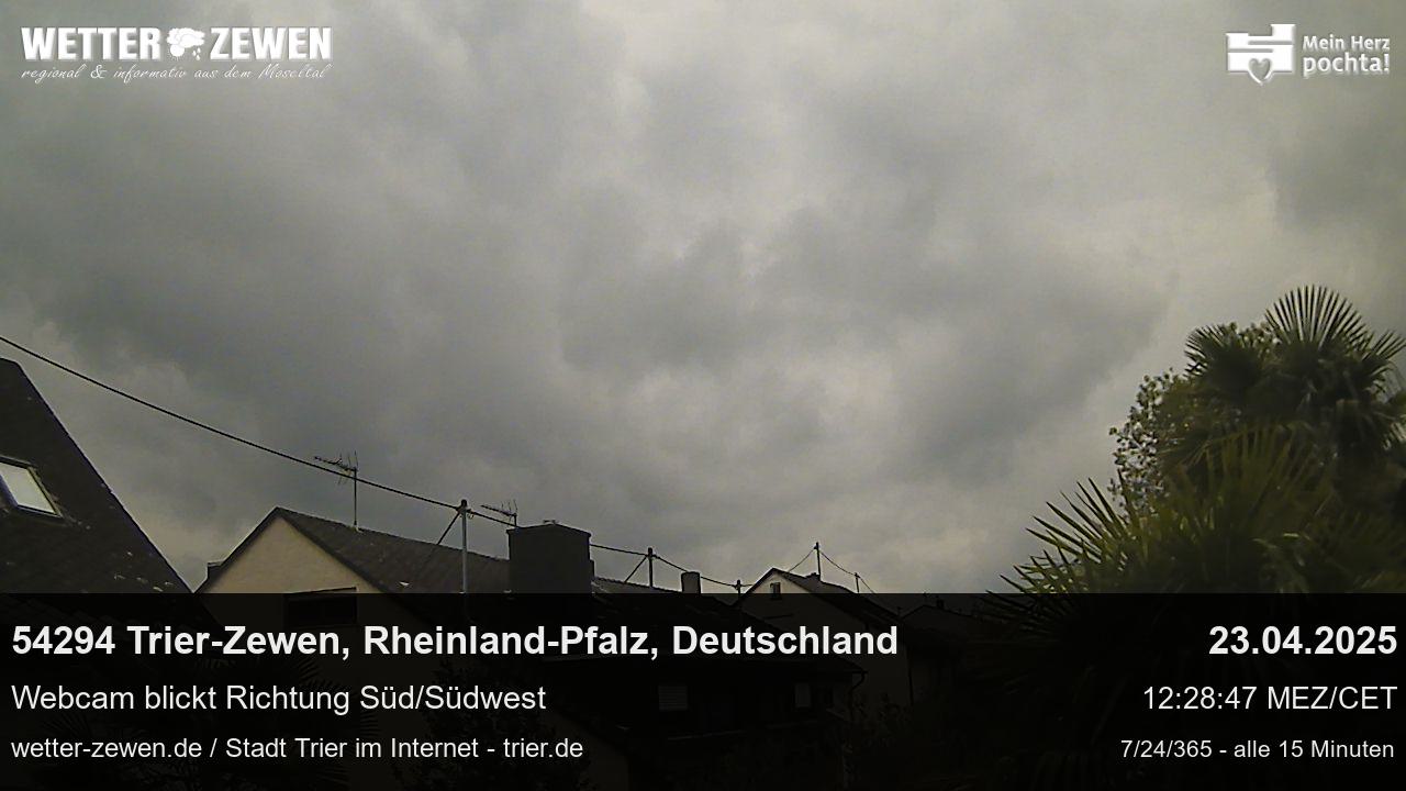Bild