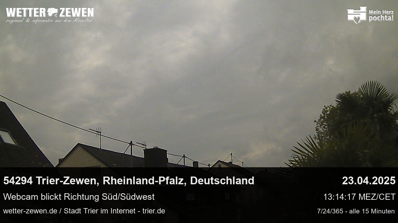 Bild