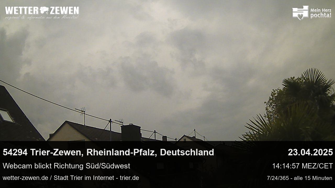 Bild