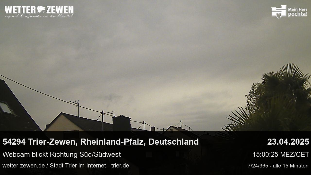 Bild