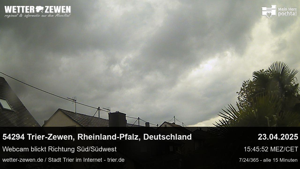Bild