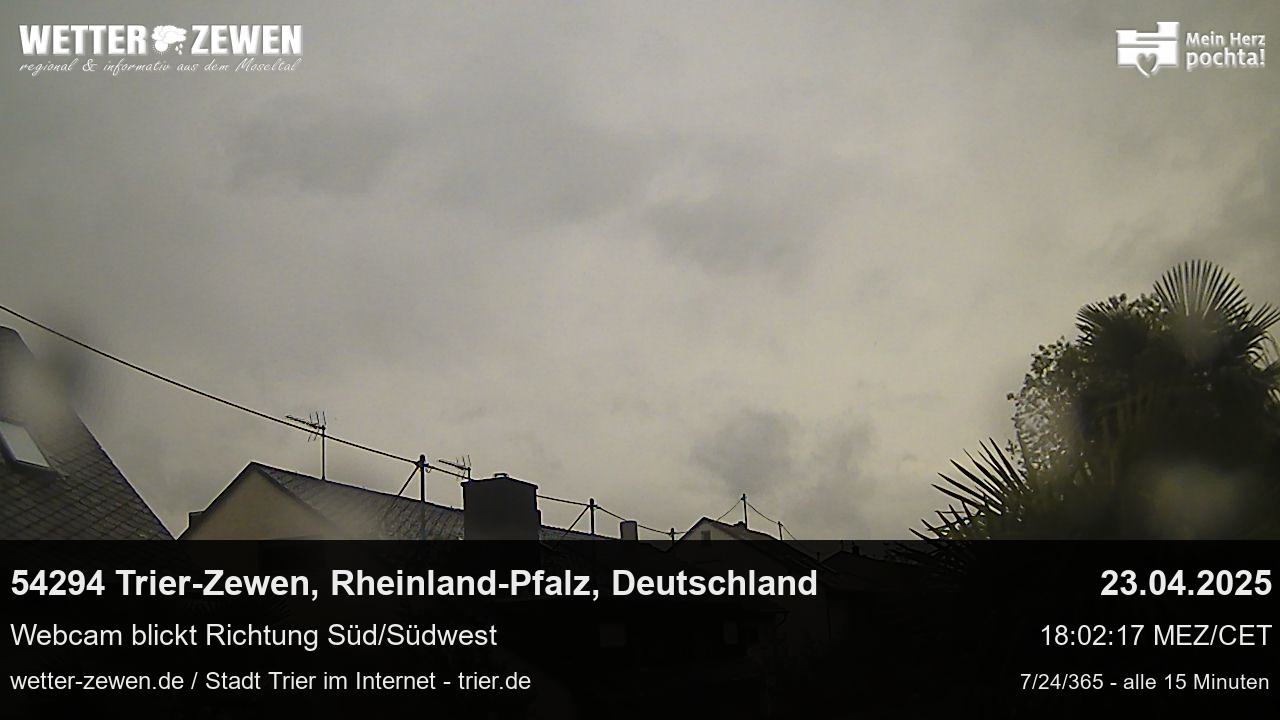 Bild