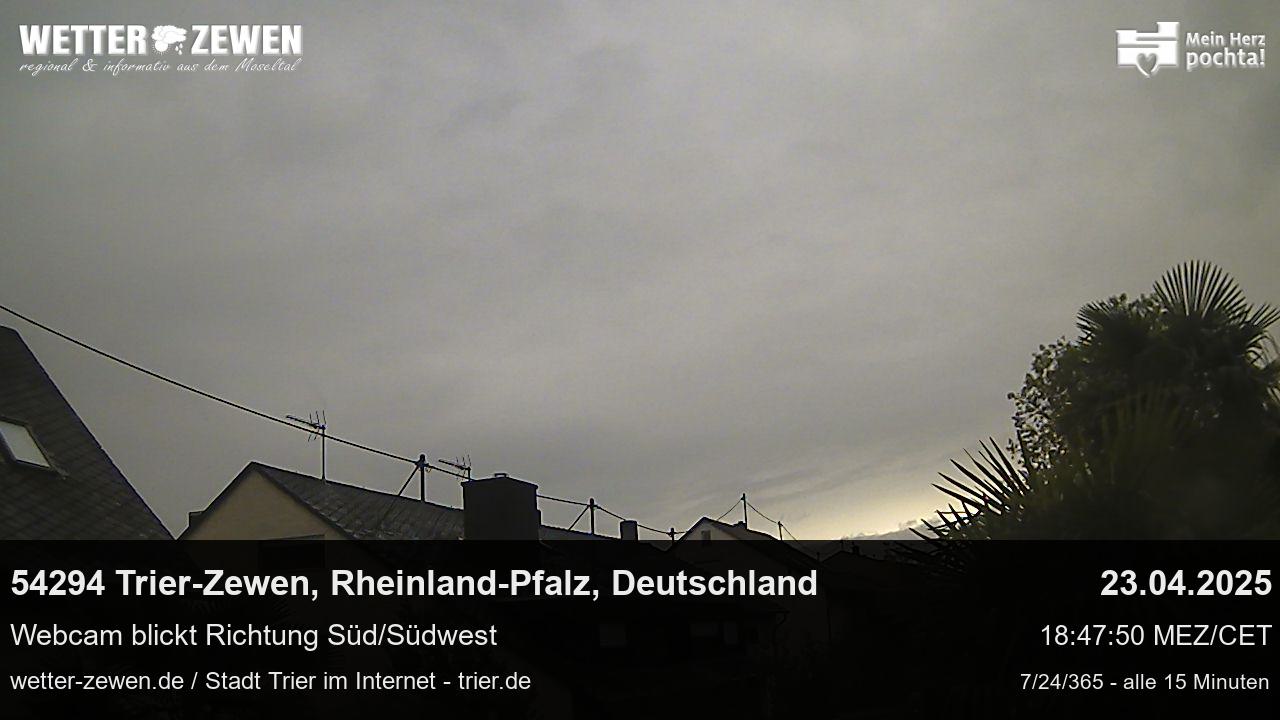 Bild
