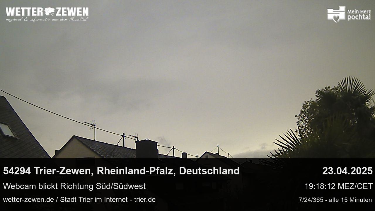 Bild