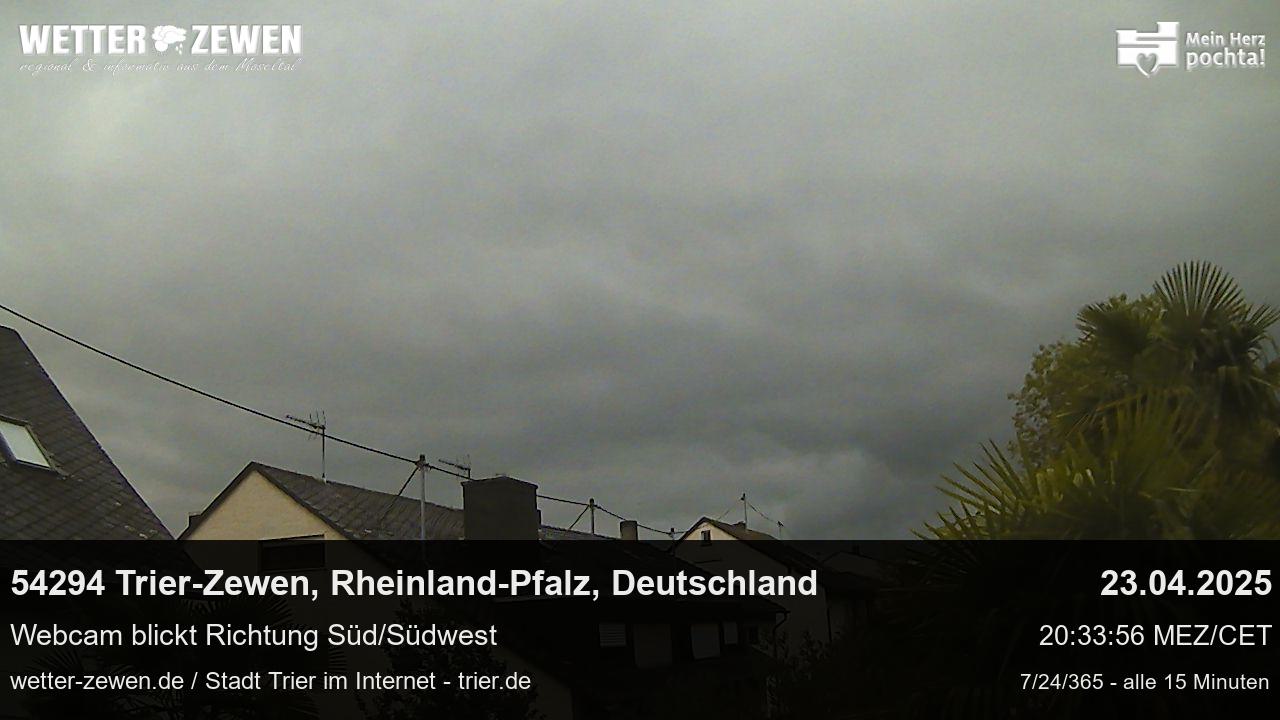 Bild