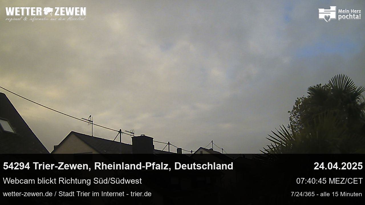 Bild