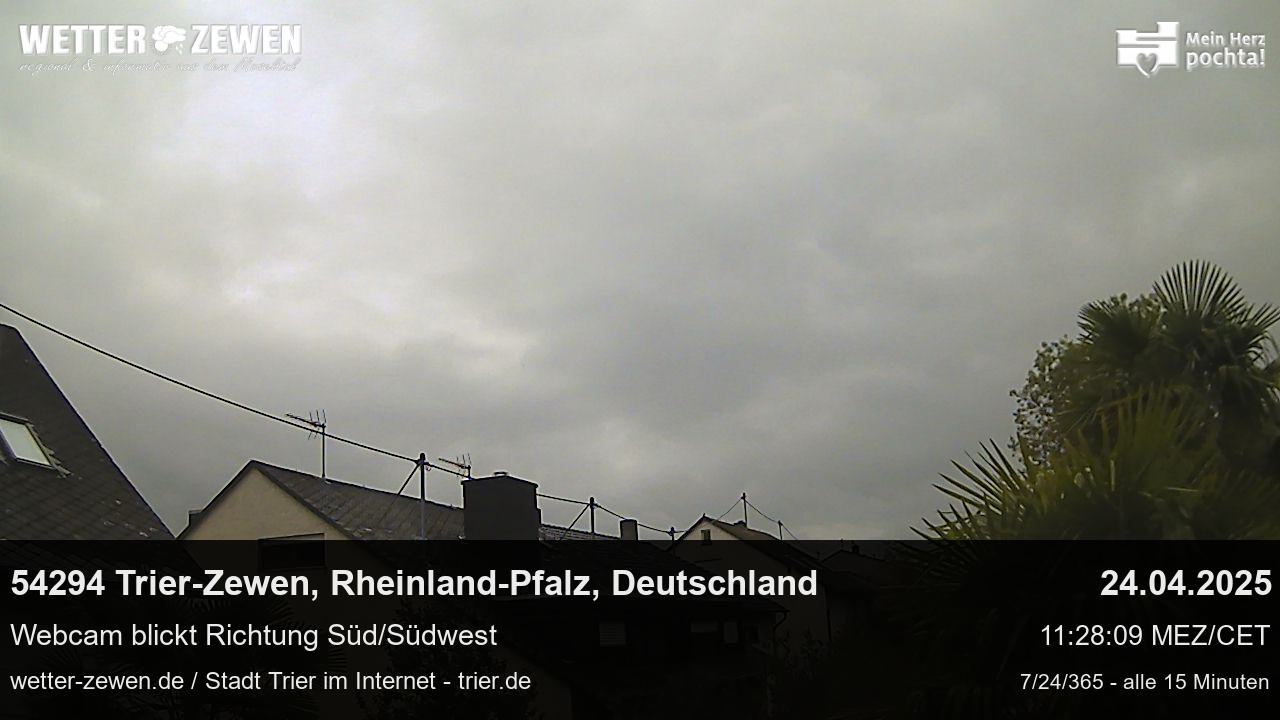 Bild