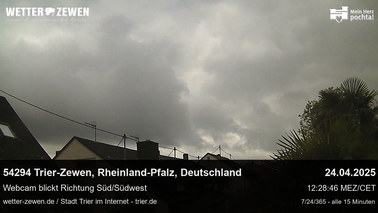 Bild