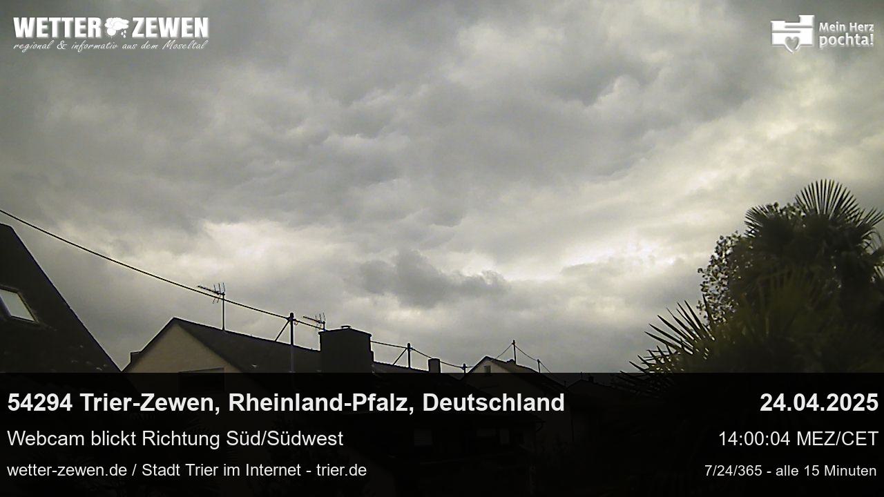 Bild