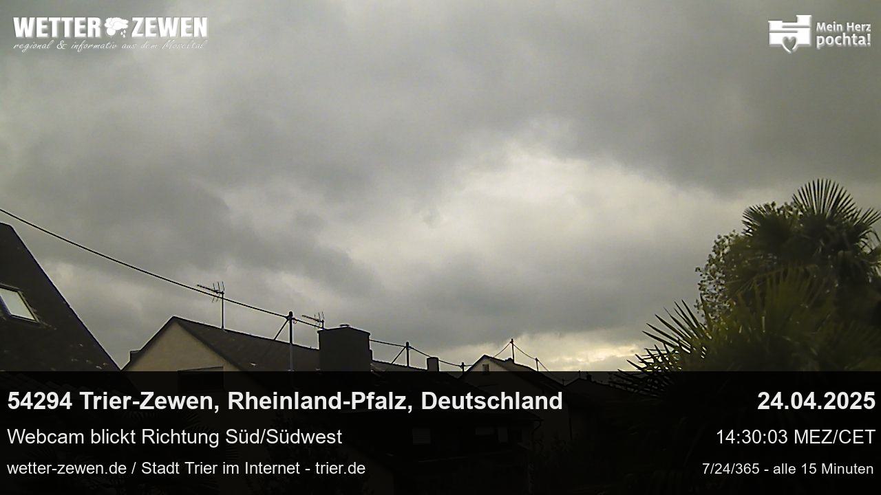 Bild