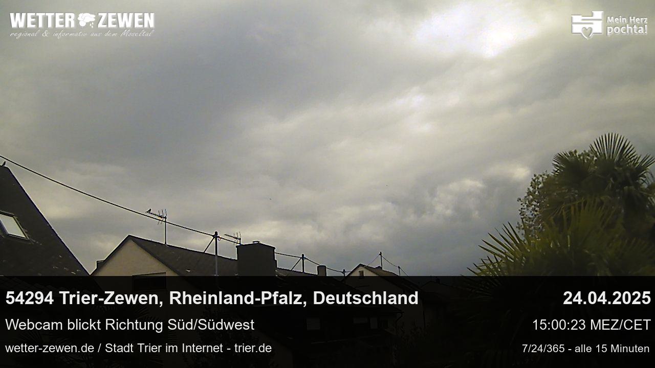 Bild
