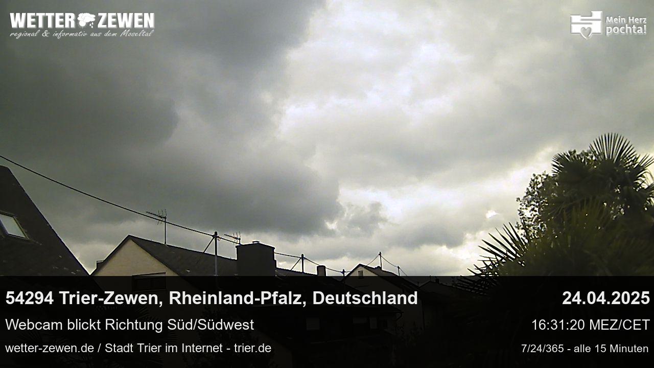 Bild