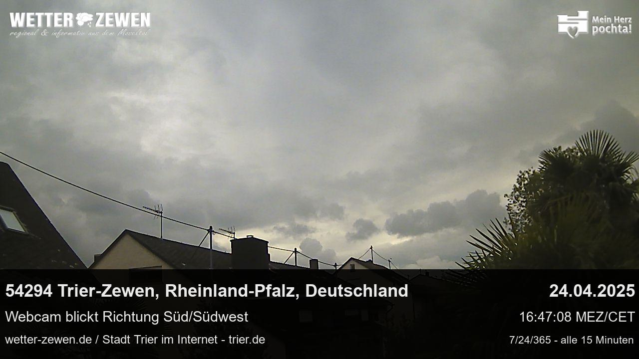 Bild