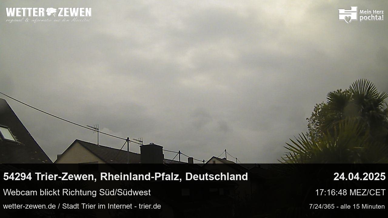 Bild