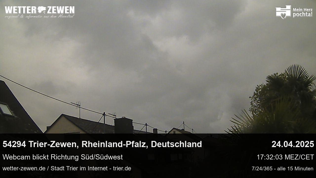 Bild
