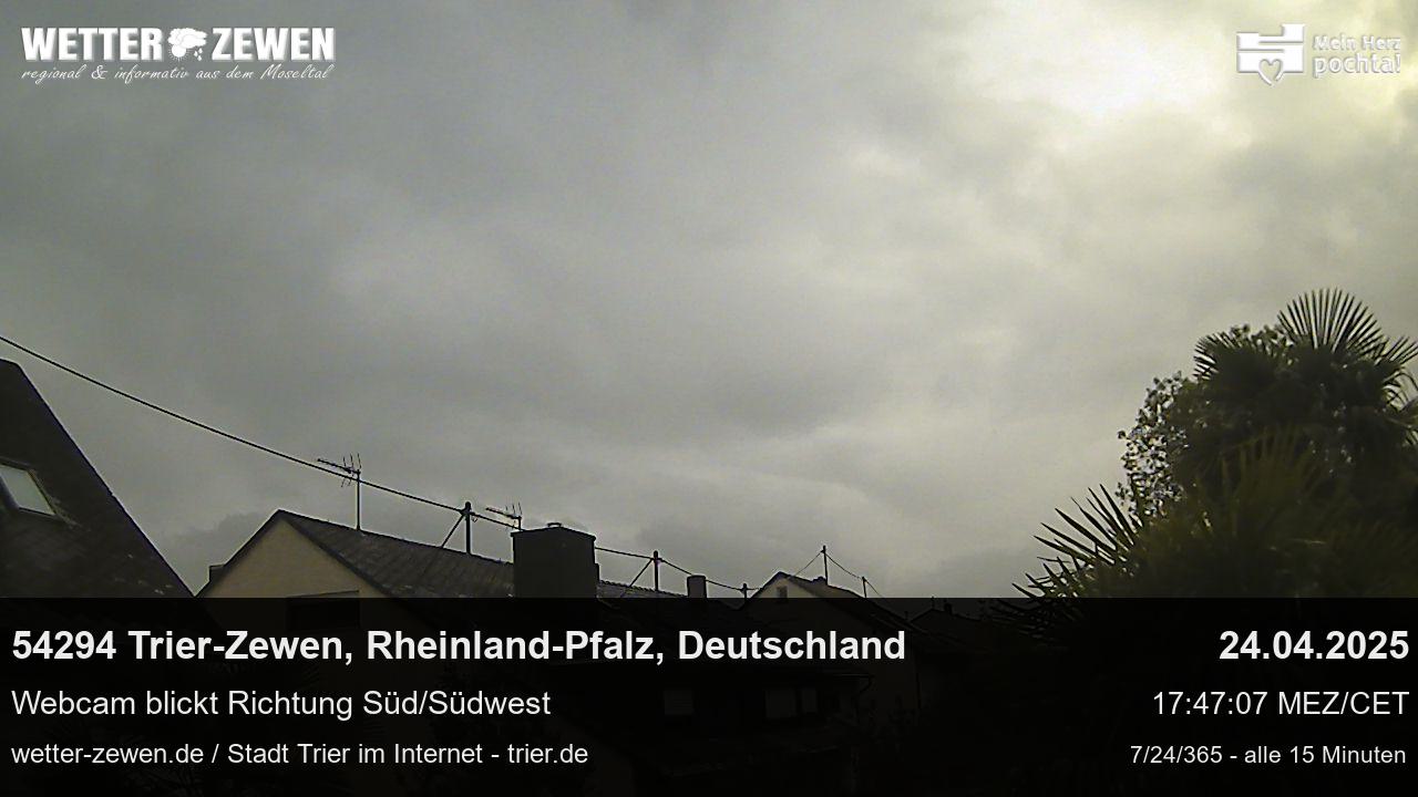 Bild