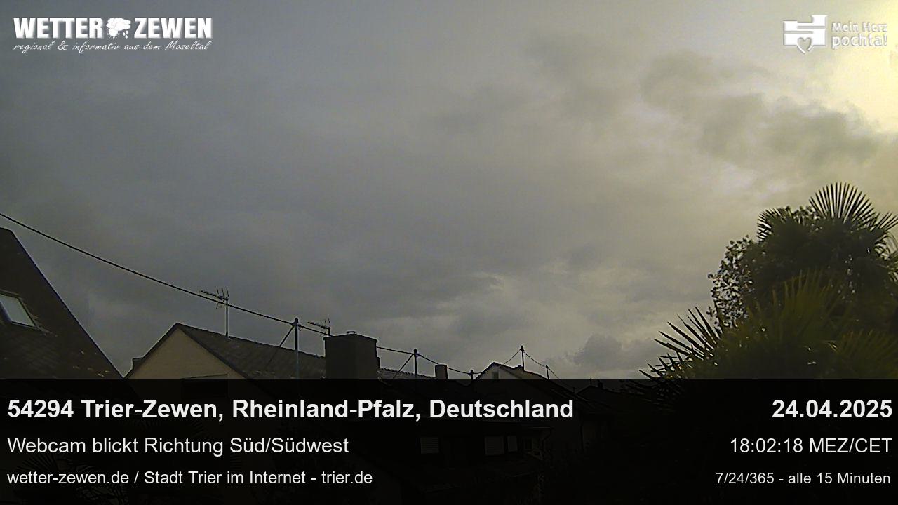 Bild