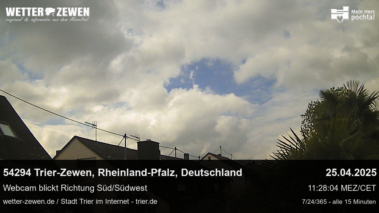 Bild