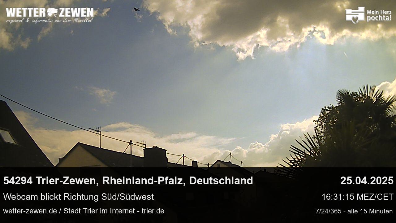 Bild