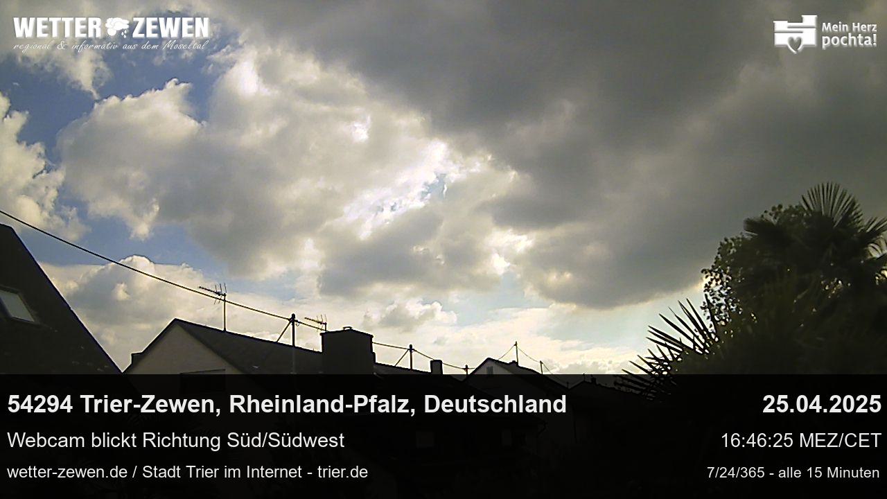 Bild
