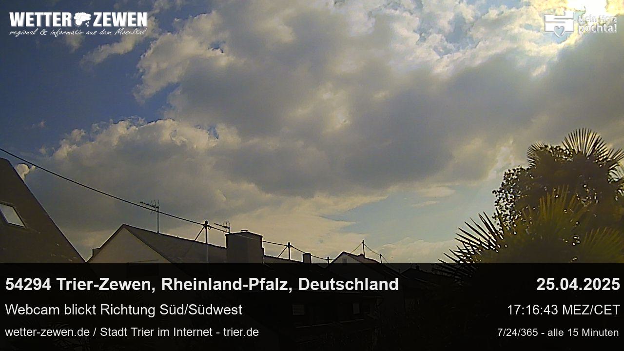 Bild