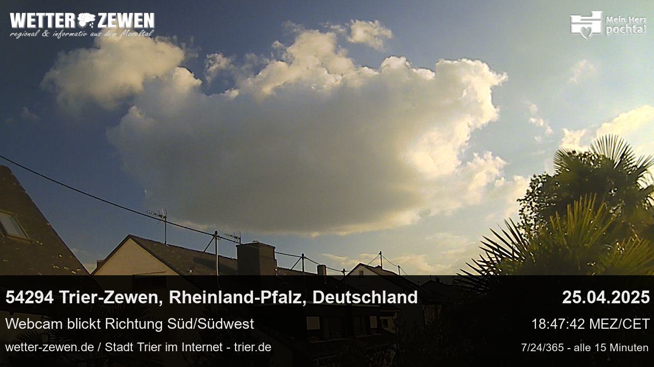 Bild