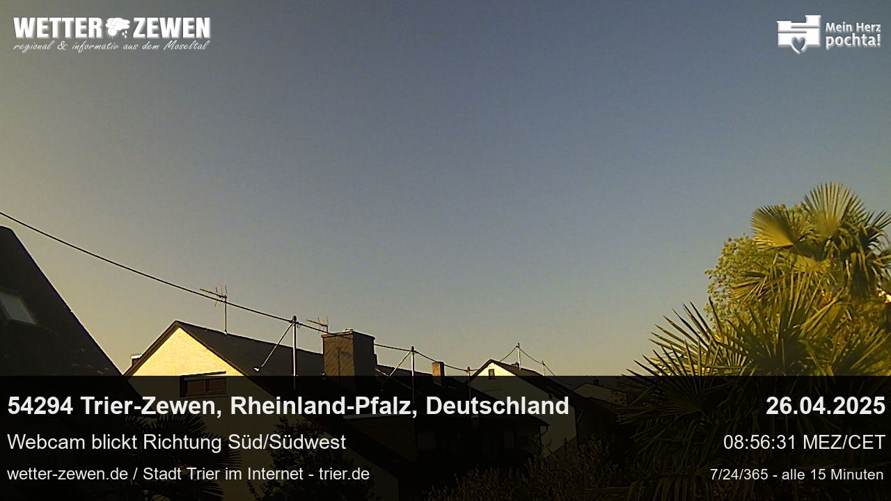 Bild