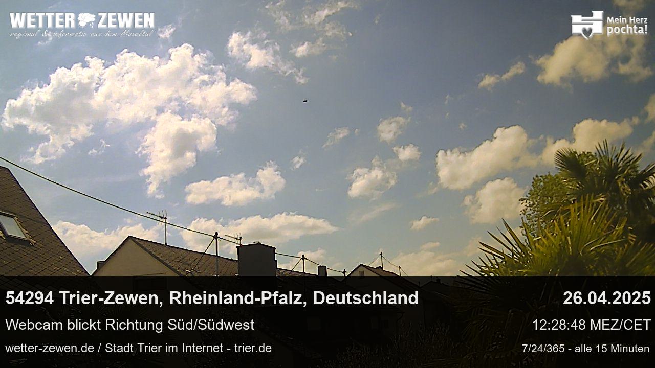 Bild