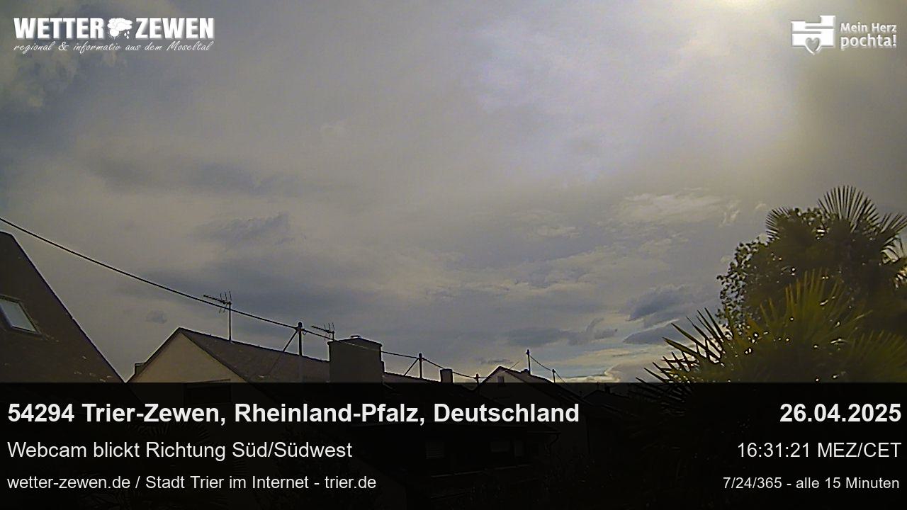 Bild