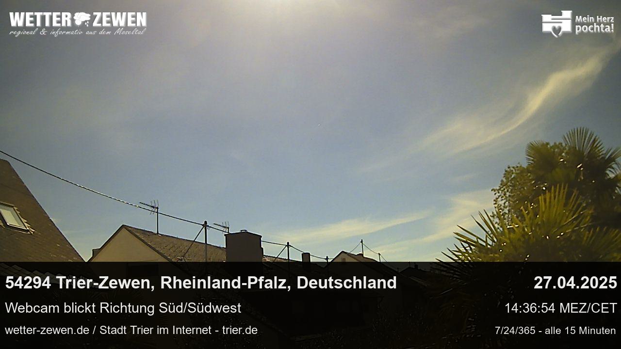 Bild