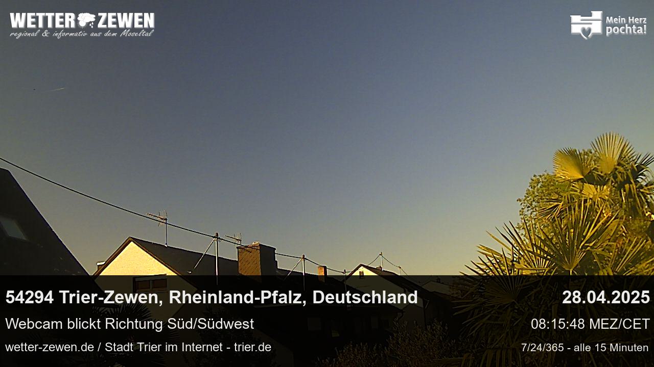 Bild