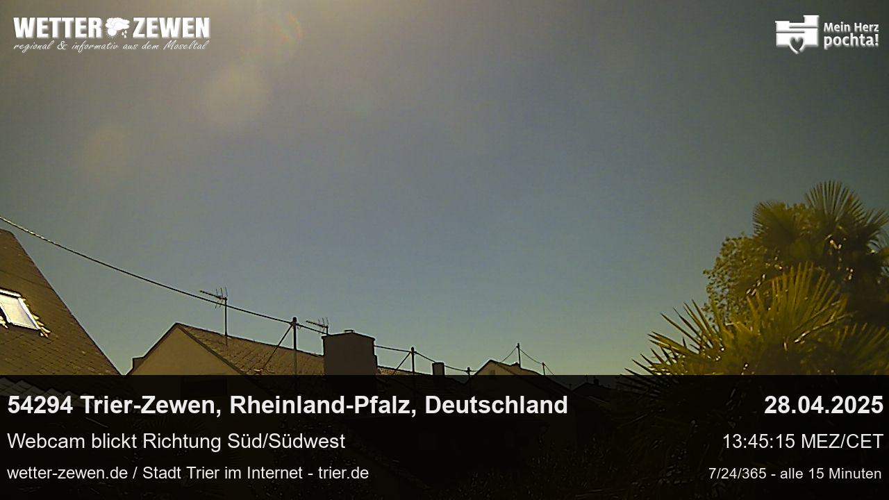 Bild