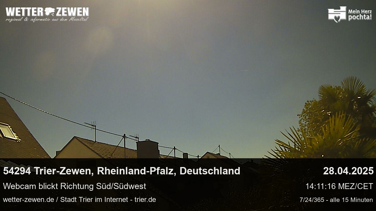 Bild